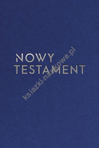 Nowy Testament z infografikami  wersja srebrna / mniejszy format