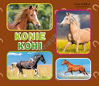 Konie. Коні